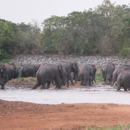The Kingdom Ecolodge Monaragala Екстер'єр фото